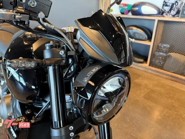 TRIUMPH 800 2026 2026 — миниатюра 2