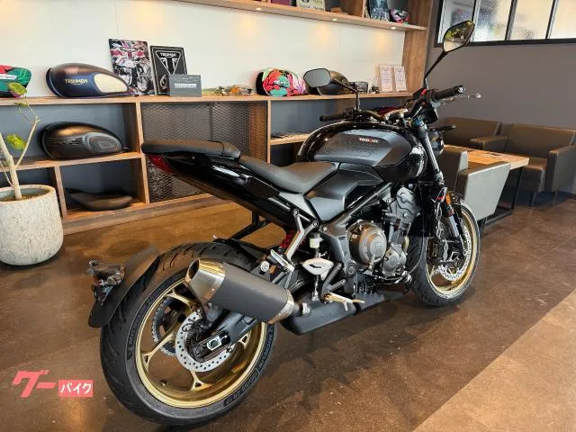 TRIUMPH 800 2026 2026 — миниатюра 3