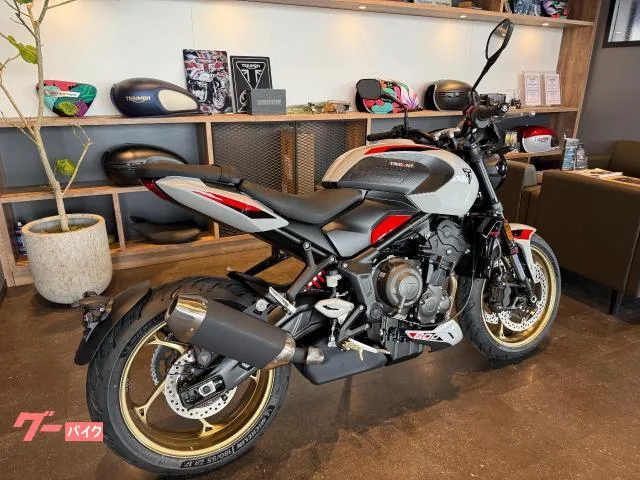 TRIUMPH 800 2026 2026 — миниатюра 3