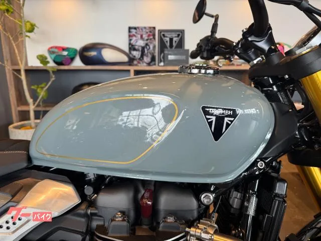 TRIUMPH 900 2026 LEDIMU 2026 — миниатюра 5