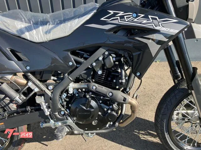Kawasaki KLX230SM 3 2026 — миниатюра 4