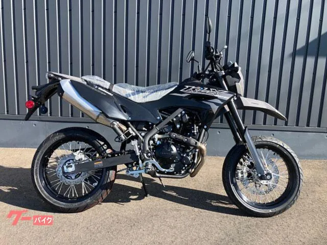Kawasaki KLX230SM 3 2026 — фото 1, купить с доставкой в Москву