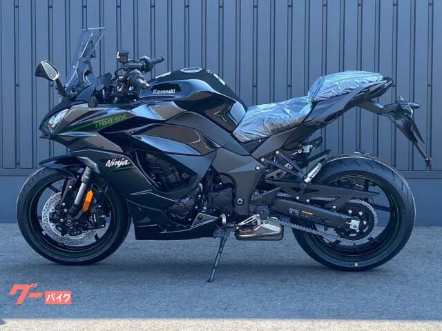 Kawasaki Ninja 1100 SX MY25 ETC - USB 2025 — миниатюра 2