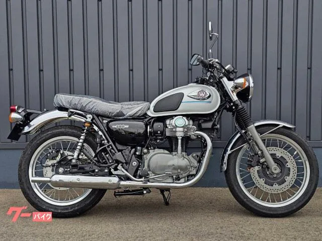 Kawasaki W800 2026 ETC - 2026 — фото 1, купить с доставкой в Москву