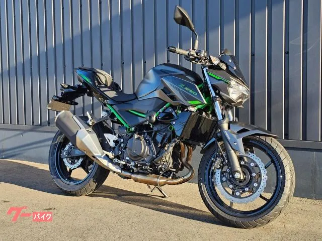 Kawasaki Z250 - 2024 — миниатюра 2