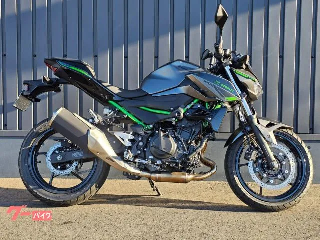 Kawasaki Z250 - 2024 — фото 1, купить с доставкой в Москву
