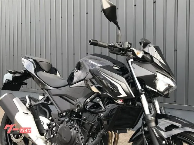 Kawasaki Z250 LED 2026 — миниатюра 2