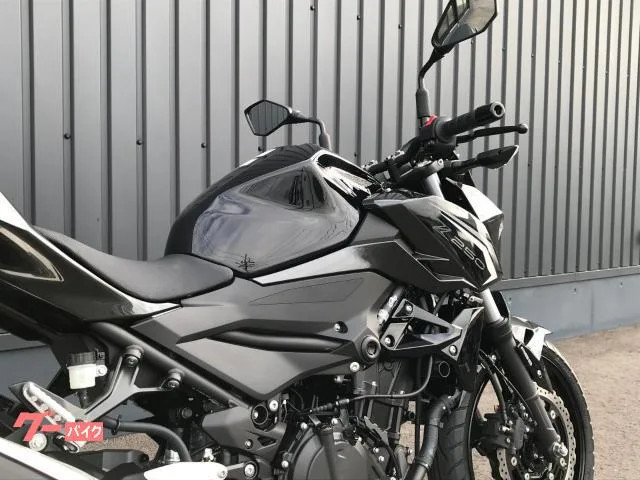 Kawasaki Z250 LED 2026 — миниатюра 3