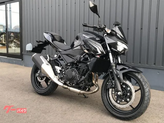 Kawasaki Z250 LED 2026 — миниатюра 4