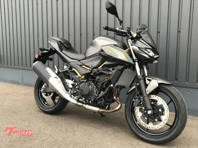 Kawasaki Z500 LED 2026 — миниатюра 3