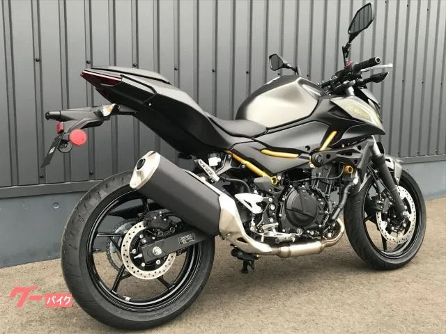 Kawasaki Z500 LED 2026 — миниатюра 4