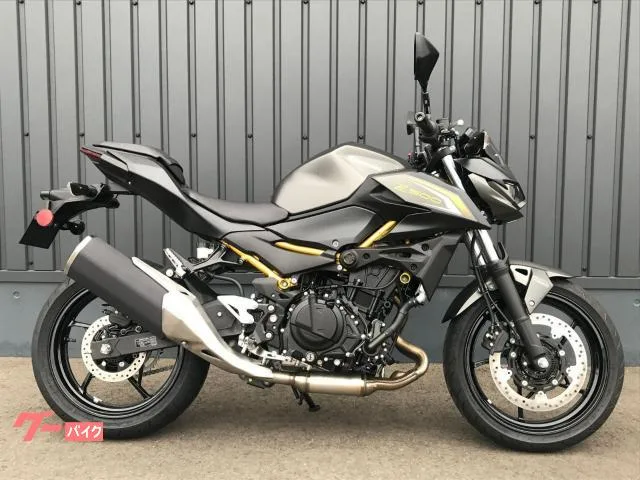 Kawasaki Z500 LED 2026 — фото 1, купить с доставкой в Москву