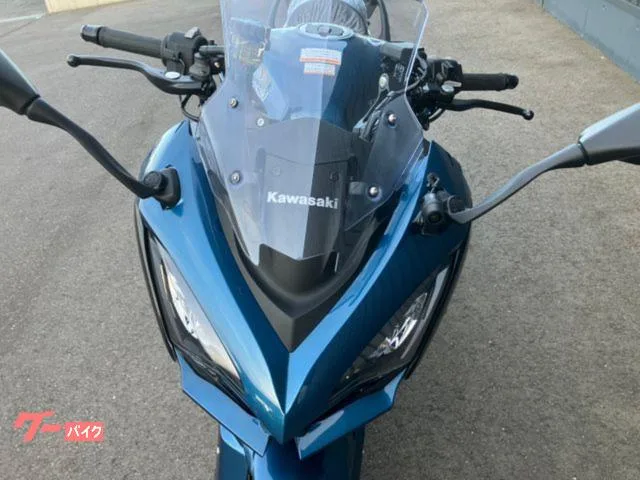 Kawasaki Ninja 1100 SX SE 2026 S46 2026 — миниатюра 2