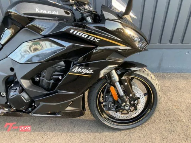 Kawasaki Ninja 1100 SX 2026 2026 — миниатюра 2
