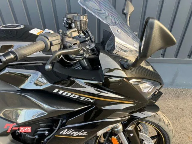 Kawasaki Ninja 1100 SX 2026 2026 — миниатюра 3