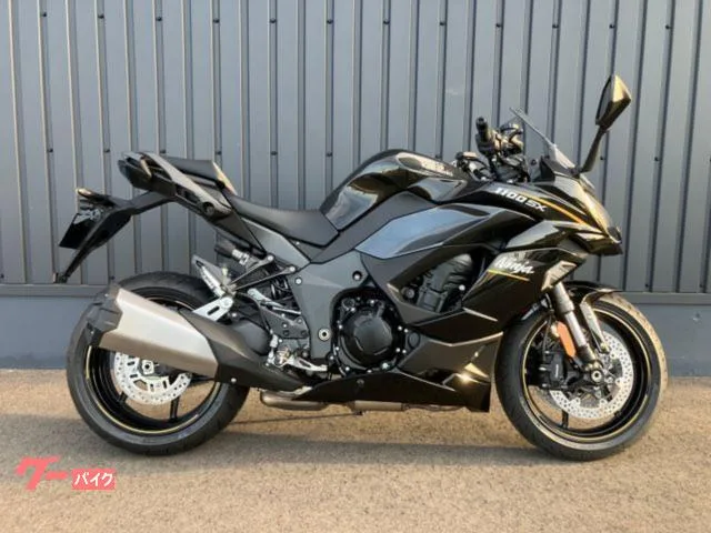 Kawasaki Ninja 1100 SX 2026 2026 — фото 1, купить с доставкой в Москву
