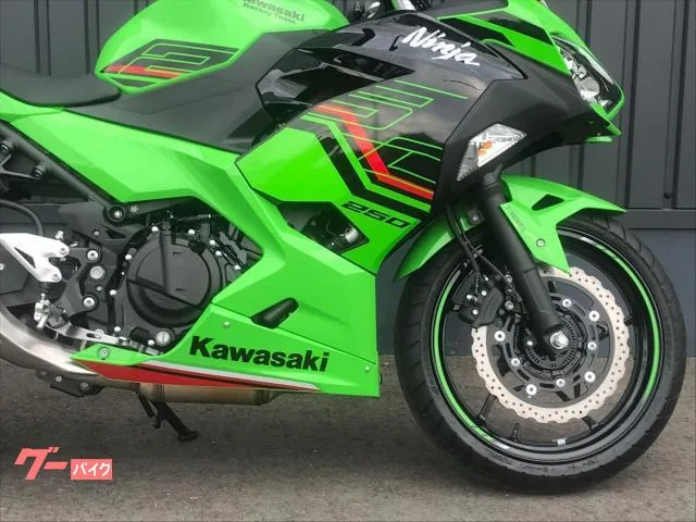 Kawasaki Ninja 250 KRT 2LED 2024 — миниатюра 3