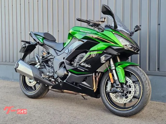 Kawasaki Ninja 1100 SX SE ETC/ - 2025 — миниатюра 3