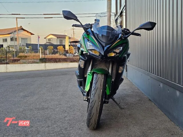Kawasaki Ninja 1100 SX SE ETC/ - 2025 — миниатюра 4