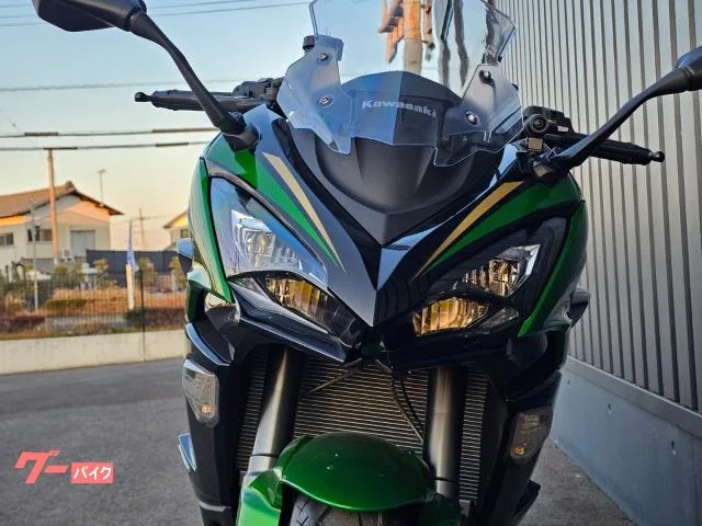 Kawasaki Ninja 1100 SX SE ETC/ - 2025 — миниатюра 5