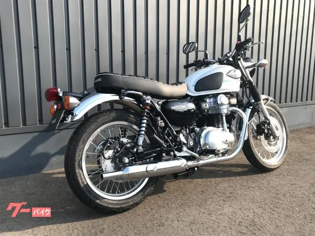 Kawasaki W800 ETC - 2026 — миниатюра 4