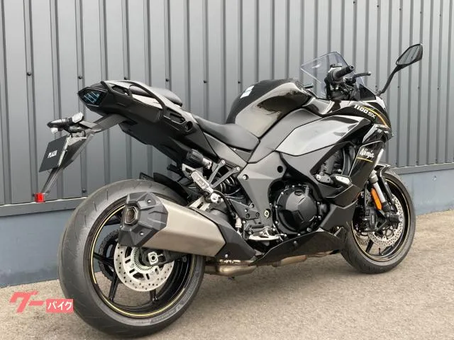 Kawasaki Ninja 1100 SX ETC/ -/ 2026 — миниатюра 3