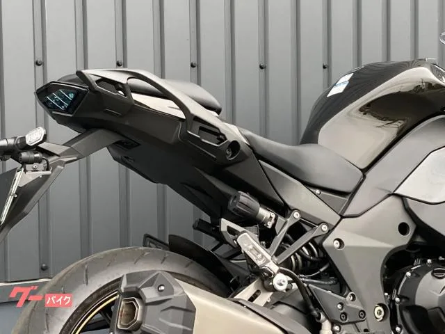 Kawasaki Ninja 1100 SX ETC/ -/ 2026 — миниатюра 4