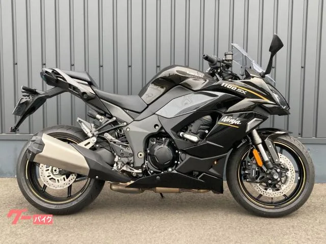 Kawasaki Ninja 1100 SX ETC/ -/ 2026 — фото 1, купить с доставкой в Москву