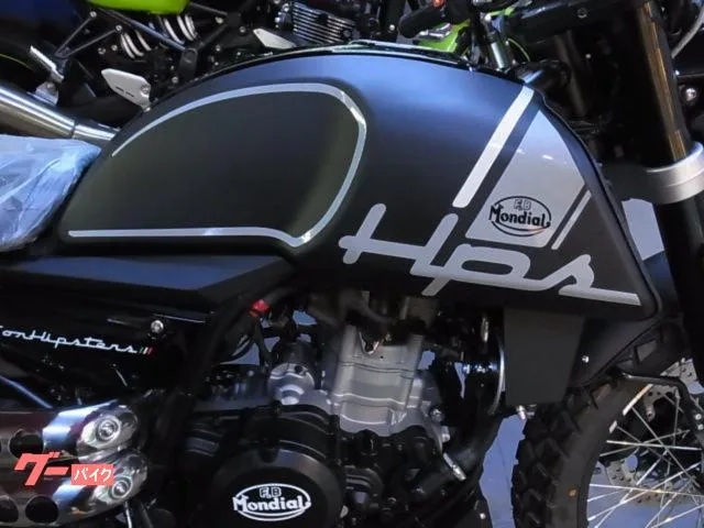 FB MONDIAL HPS300 ABS2022 2022 — миниатюра 4