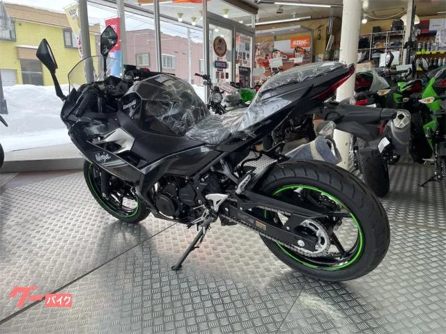 Kawasaki Ninja 250 2022 2022 — миниатюра 2