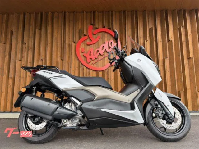 Yamaha X-MAX250 ETC 2024 — фото 1, купить с доставкой в Москву