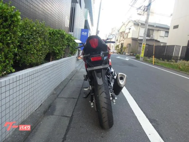 Suzuki GSX250R 2024 2024 — миниатюра 4