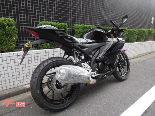 Yamaha YZF-R15 2023 2023 — миниатюра 3