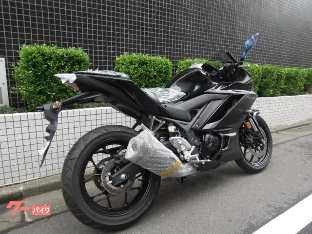 Yamaha YZF-R25 2023 2023 — миниатюра 3