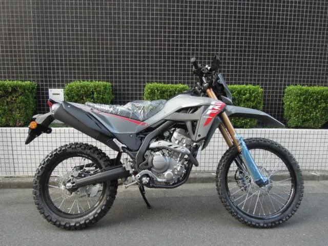 Honda CRF250L 2025 2025 — фото 1, купить с доставкой в Москву