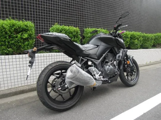 Yamaha MT-25 2025 2025 — миниатюра 3