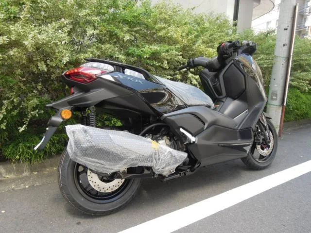 Yamaha X-MAX2502025 2025 — миниатюра 3