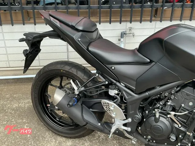 Yamaha MT-25 RG74J 2022 — миниатюра 2