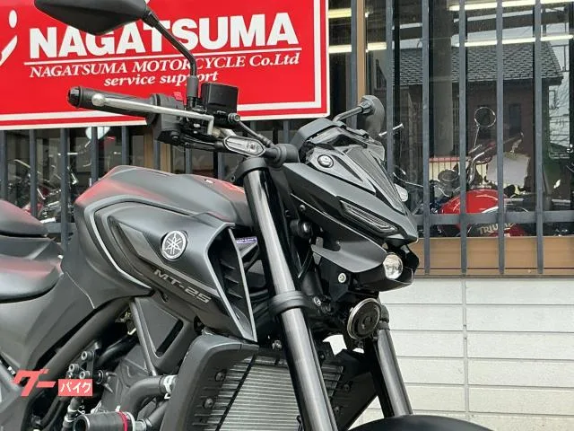 Yamaha MT-25 RG74J 2022 — миниатюра 3