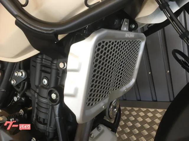 ROYAL ENFIELD 450 ETC2.0 2024 — миниатюра 2