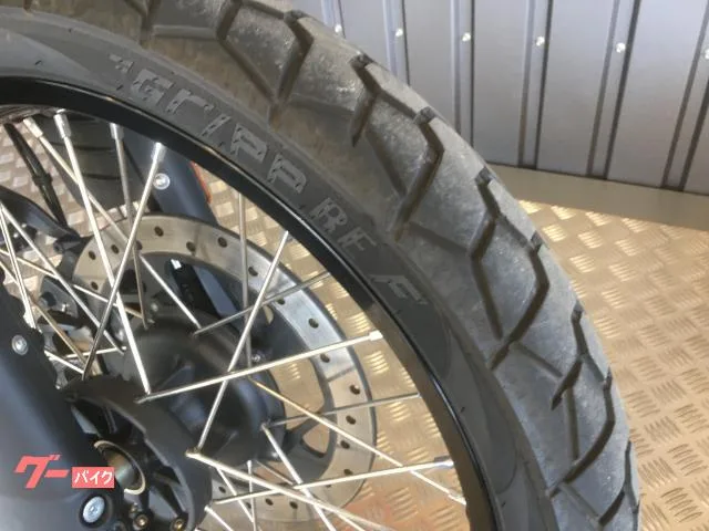 ROYAL ENFIELD 450 ETC2.0 2024 — миниатюра 3