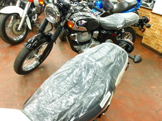 Kawasaki W230 2025 2025 — миниатюра 2