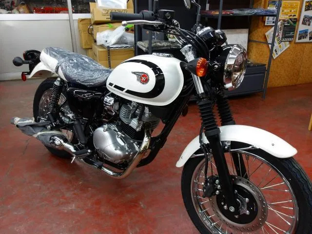 Kawasaki W230 2025 2025 — фото 1, купить с доставкой в Москву