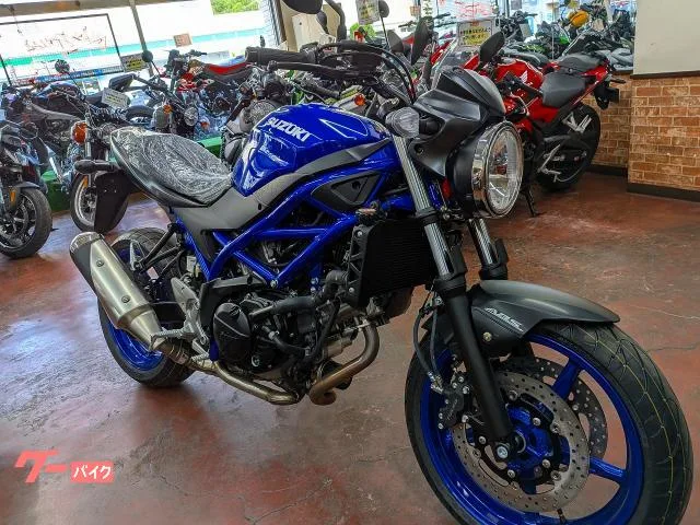 Suzuki SV650 ABS 2025 — фото 1, купить с доставкой в Москву