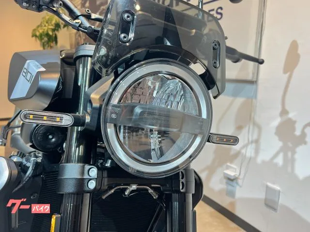 HUSQVARNA 801 2024 ETC2.0 2024 — миниатюра 3