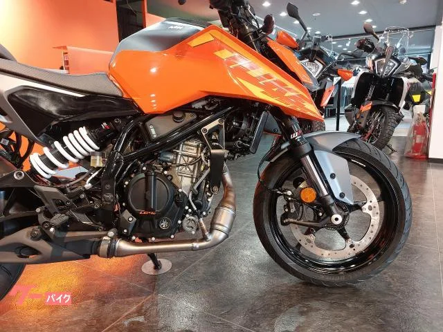 KTM 250 2024 2024 — миниатюра 4