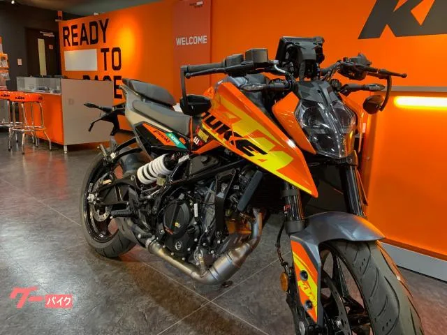 KTM 250 2024 2024 — миниатюра 4