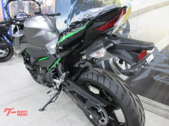 Kawasaki Z250 EX250Y 2024 — миниатюра 4
