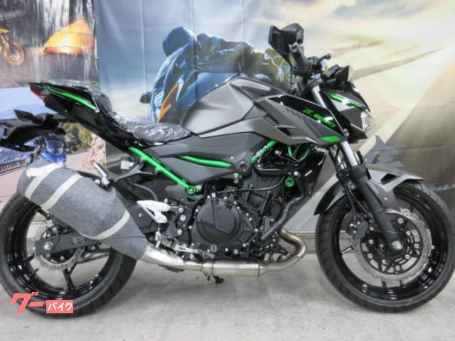 Kawasaki Z250 EX250Y 2024 — фото 1, купить с доставкой в Москву