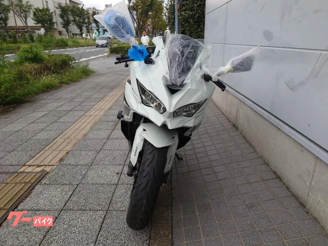 Kawasaki Ninja ZX-4R SE USB 2026 — миниатюра 2